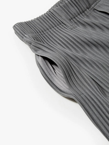 Men's Miyake Pleated Baggy Trousers